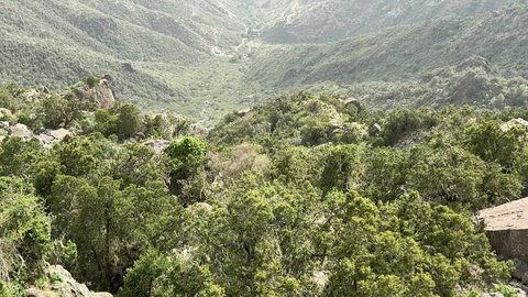 Green natural places and parks, the high Al-Soudah Mountains in the Asir region, famous tourist areas and landmarks, mountainous landscapes on the plateaus and highlands, areas that attract and attract tourists from all over the world to the Kingdom of Saudi Arabia