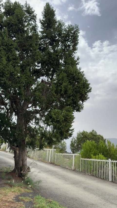 أماكن ومنتزهات طبيعية خضراء, جبال السوده العالية في منطقة عسير, مناطق ومعالم سياحية مشهورة, مناظر الطبيعة الجبلية على الهضاب والمرتفعات، مناطق جذب واستقطاب السياح من كافة دول العالم الى المملكة العربية السعودية