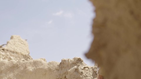 الحراسة والمراقبة للدفاع والحفاظ على تاريخ وتراث المملكة، يوم بدينا 22 فبراير، الحرب والقتال بالبنادق لحماية الوطن، تأسيس الدولة السعودية الأولى 1727 م، رجل عربي خليجي سعودي يرتدي الزي الشعبي التقليدي يحمل البندقية في احياء شعبية طينية