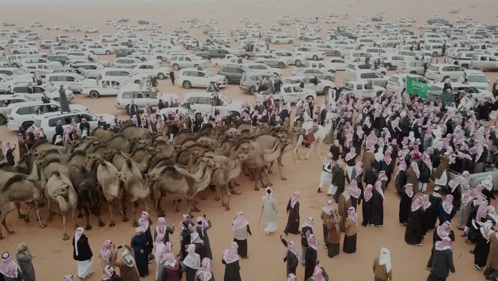 Purebred Arabian beauty contests, traditional folk activities in the deserts of Saudi Arabia, developing and providing the appropriate environment for camel racing, aerial drone photography of crowds of spectators and traffic congestion at the King Abdulaziz Festival to follow the movement of camels during the race