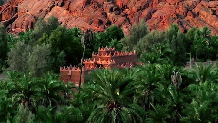 مزارع أشجار النخيل في مدينة حائل، موسم حصاد التمور، تصويرمقرب للأشجار والمحاصيل الزراعية المحلية، أراضي ومحميات طبيعية لزراعة النخل والرطب في المملكة العربية السعودية