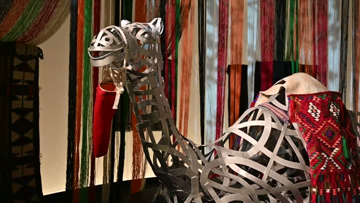 Using animals to move from one place to another in the desert, a close-up of a camel model in the Kingdom of Saudi Arabia, the camel is the ship of the desert, the concept of livestock and mammal care