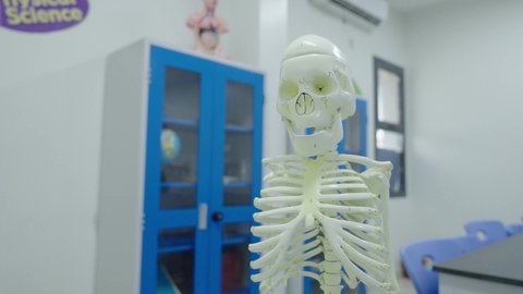 التطبيق العملي والتجارب العلمية، نموذج لجسم الإنسان، تصوير لمعمل العلوم في إحدى المدارس بالمملكة العربية السعودية، وسيلة تعليمية لشرح أعضاء الجسم الداخلية