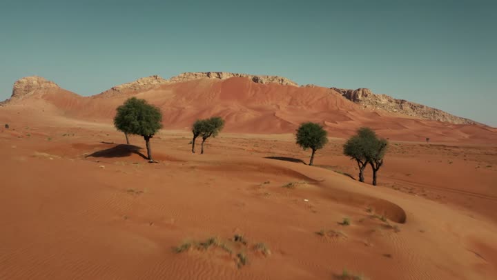 Soft golden dunes and natural terrain in the United Arab Emirates, harsh and dry weather in the arid lands, landscapes and soft golden sands in the desert, sand formations and formations in the desert, nature background