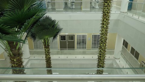 التصميم الداخلي لإحدى جامعات المملكة, المحاضرات التعليمية في السعودية ، جودة العلم والتعليم في المجتمع السعودي, أماكن لإقامة دورات تدريبية للطلاب, كليات وجامعات أكاديمية متطورة، أشجار النخيل الخضراء