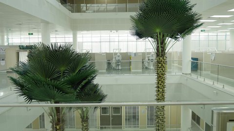 أشجار النخيل الخضراء، التصميم الداخلي لإحدى جامعات المملكة, المحاضرات التعليمية في السعودية ، جودة العلم والتعليم في المجتمع السعودي, أماكن لإقامة دورات تدريبية للطلاب, كليات وجامعات أكاديمية متطورة