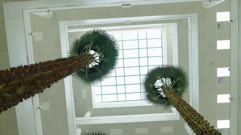 أشجار النخيل الخضراء، التصميم الداخلي لإحدى جامعات المملكة, المحاضرات التعليمية في السعودية ، جودة العلم والتعليم في المجتمع السعودي, أماكن لإقامة دورات تدريبية للطلاب, كليات وجامعات أكاديمية متطورة