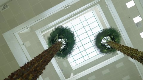 التصميم الداخلي لإحدى جامعات المملكة, المحاضرات التعليمية في السعودية ، جودة العلم والتعليم في المجتمع السعودي, أماكن لإقامة دورات تدريبية للطلاب, كليات وجامعات أكاديمية متطورة، أشجار النخيل الخضراء