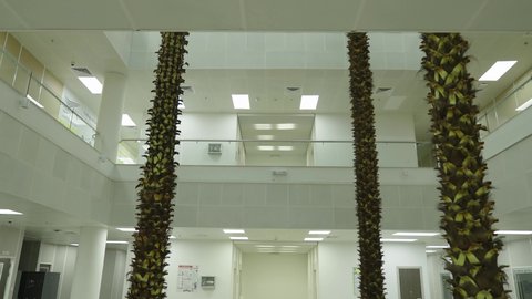 التصميم الداخلي لإحدى جامعات المملكة, المحاضرات التعليمية في السعودية ، جودة العلم والتعليم في المجتمع السعودي, أماكن لإقامة دورات تدريبية للطلاب, كليات وجامعات أكاديمية متطورة، أشجار النخيل الخضراء