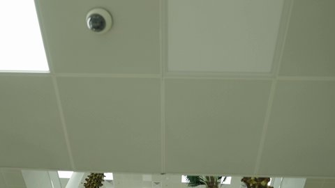 Green palm trees, the interior design of one of the universities in the Kingdom, educational lectures in Saudi Arabia, the quality of knowledge and education in Saudi society, places for holding training courses for students, advanced academic colleges and universities.