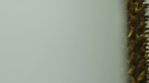 جامعة دار العلوم في السعودية، التصميم الداخلي لإحدى جامعات المملكة, المحاضرات التعليمية في السعودية ، جودة العلم والتعليم في المجتمع السعودي, أماكن لإقامة دورات تدريبية للطلاب, كليات وجامعات أكاديمية متطورة