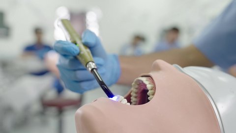 تصوير مقرب لطالب جامعي بكلية الأسنان يرتدي القفازات يقوم بفحص مجسم طاقم أسنان، مفهوم التدريب العملي، استخدام معدات وأدوات طب الأسنان، الأساليب العلاجية المتبعة للعناية بالفم، معالجة التسوس وتركيب الحشوات