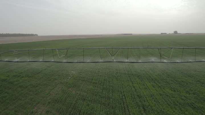 Future irrigation machines and equipment in an agricultural field in the north of the Kingdom of Saudi Arabia, agricultural lands and fields, caring for and attending to trees and green plants, pivot irrigation arms, trees and green plants, water sprinklers.