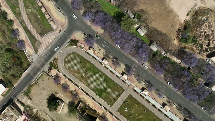 نمو اشجار الجاكرندا في شارع الفن في منطقة عسير، تصوير درون جوي لطرق وشوارع مدينة أبها في النهار، المدن السياحية المميزة في المملكة العربية السعودية، الاهتمام بزراعة الاشجار والنباتات الخضراء