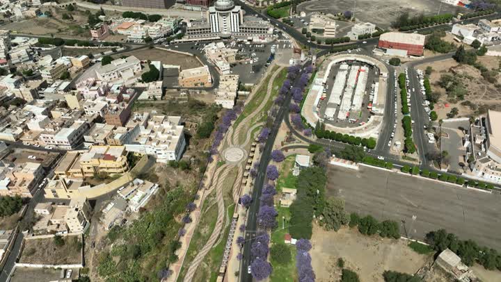 The growth of jacaranda trees on Art Street in the Asir region, aerial drone photography of the roads and streets of Abha city during the day, the distinctive tourist cities in the Kingdom of Saudi Arabia, and the interest in planting trees and green plants.