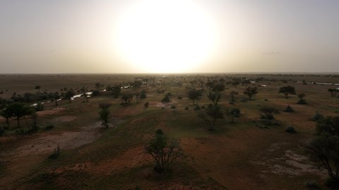 الرمال الذهبية الناعمة في الصحراء، الاشجار و النباتات و الاعشاب البرية الجافة في إحدى المحميات الطبيعيه وقت غروب الشمس، الطبيعه الصحراوية والكثبان الرمليه في المملكة العربية السعودية، خلفية الطبيعه