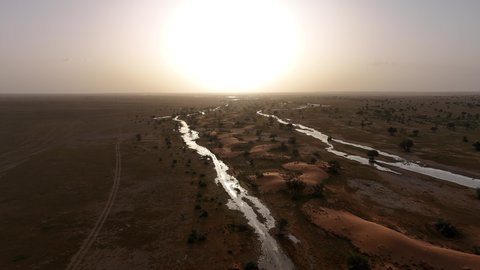 Trees, plants and dry wild herbs in a nature reserve at sunset, desert nature and sand dunes in the Kingdom of Saudi Arabia, soft golden sand in the desert, nature background
