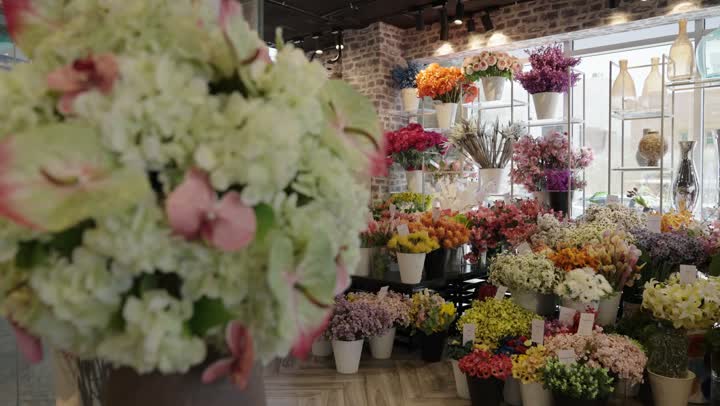 تجربة مميزة لعشاق الألوان والروائح العطرية، ، متاجر ومحلات بيع الورود والزهور الطبيعية، أماكن نابضة بالجمال والعطر،الفخامة والذوق الرفيع