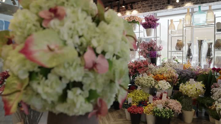 تجربة مميزة لعشاق الألوان والروائح العطرية، ، متاجر ومحلات بيع الورود والزهور الطبيعية، أماكن نابضة بالجمال والعطر،الفخامة والذوق الرفيع