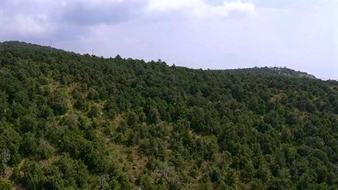  المدرجات الزراعية والنباتات الخضراء على السلاسل و المرتفعات الجبلية، محافظة بلسمر في في منطقة عسير، منظر طبيعي متميز، التشكيل و التكوين الصخري في المملكة العربية السعودية