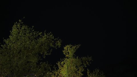 عاصفة رعدية تضرب سماء السعودية, الطقس والكوارث و الظواهر الطبيعية، الرعد والبرق، اجواء شتوية في المملكة العربية السعودية, خلفية الطبيعة