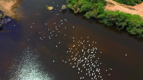 موسم هجرة الطيور، المعالم الطبيعية السياحية في المملكة العربية السعودية، اماكن جذب واستقطاب السياح من انحاء العالم، تصوير درون لوادي حلي غرب المملكة، الطيور المهاجرة فوق البحيرة