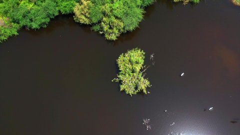 Bird migration season, natural tourist attractions in the Kingdom of Saudi Arabia, places that attract tourists from all over the world, drone photography of Wadi Hali in the west of the Kingdom, migratory birds over the lake