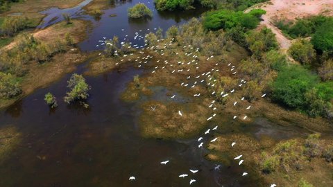 موسم هجرة الطيور، المعالم الطبيعية السياحية في المملكة العربية السعودية، اماكن جذب واستقطاب السياح من انحاء العالم، تصوير درون لوادي حلي غرب المملكة، الطيور المهاجرة فوق البحيرة