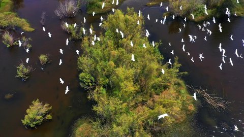 موسم هجرة الطيور، المعالم الطبيعية السياحية في المملكة العربية السعودية، اماكن جذب واستقطاب السياح من انحاء العالم، تصوير درون لوادي حلي غرب المملكة، الطيور المهاجرة فوق البحيرة