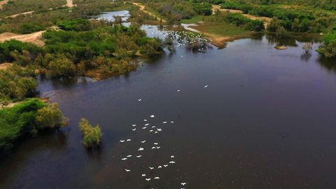 موسم هجرة الطيور، المعالم الطبيعية السياحية في المملكة العربية السعودية، اماكن جذب واستقطاب السياح من انحاء العالم، تصوير درون لوادي حلي غرب المملكة، الطيور المهاجرة فوق البحيرة
