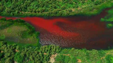 موسم هجرة الطيور، المعالم الطبيعية السياحية في المملكة العربية السعودية، اماكن جذب واستقطاب السياح من انحاء العالم، تصوير درون لوادي حلي غرب المملكة، الطيور المهاجرة فوق البحيرة