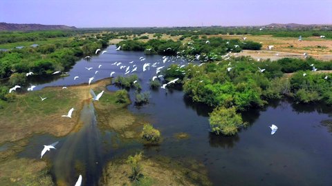 Bird migration season, natural tourist attractions in the Kingdom of Saudi Arabia, places that attract tourists from all over the world, drone photography of Wadi Hali in the west of the Kingdom, migratory birds over the lake