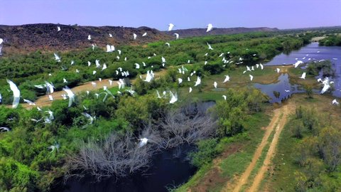Bird migration season, natural tourist attractions in the Kingdom of Saudi Arabia, places that attract tourists from all over the world, drone photography of Wadi Hali in the west of the Kingdom, migratory birds over the lake