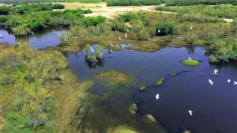 Bird migration season, natural tourist attractions in the Kingdom of Saudi Arabia, places that attract tourists from all over the world, drone photography of Wadi Hali in the west of the Kingdom, migratory birds over the lake