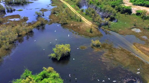 Bird migration season, natural tourist attractions in the Kingdom of Saudi Arabia, places that attract tourists from all over the world, drone photography of Wadi Hali in the west of the Kingdom, migratory birds over the lake