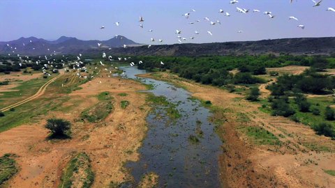 Bird migration season, natural tourist attractions in the Kingdom of Saudi Arabia, places that attract tourists from all over the world, drone photography of Wadi Hali in the west of the Kingdom, migratory birds over the lake