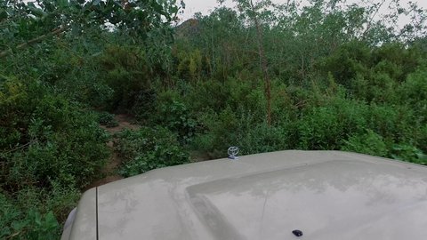 Floods in Bisha Valley in Asir, famous landmarks and tourist attractions, the distinctive natural landscapes of the Kingdom of Saudi Arabia, rainwater collecting in rocky valleys, green plants on the mountain slopes and foothills