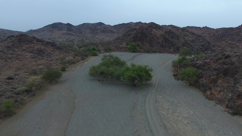 Floods in Bisha Valley in Asir, famous landmarks and tourist attractions, the distinctive natural landscapes of the Kingdom of Saudi Arabia, rainwater collecting in rocky valleys, green plants on the mountain slopes and foothills