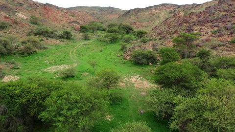 تصوير درون لوادي جوف الاشواط في سراة عبيدة، المعالم الطبيعية السياحية في المملكة العربية السعودية، التكوينات والتشكيلات الصخرية، نمو النباتات الخضراء على التلال والمرتفعات الجبلية في المملكة العربية السعودية، اماكن جذب واستقطاب السياح من انحاء العالم