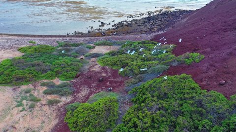 Tourist attractions in the Kingdom of Saudi Arabia, aerial drone photography of Jabal Kadmbel Island in Asir, calm sea waves on the Red Sea coast, mountain peaks and heights during the day