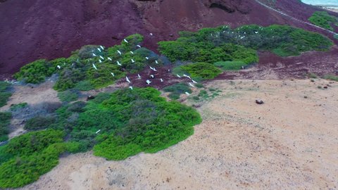  اماكن سياحية في المملكة العربية السعودية، تصوير درون جوي لجزيرة جبل كدمبل في عسير، أمواج البحر الهادئة على سواحل البحر الأحمر، القمم والمرتفعات الجبلية في النهار