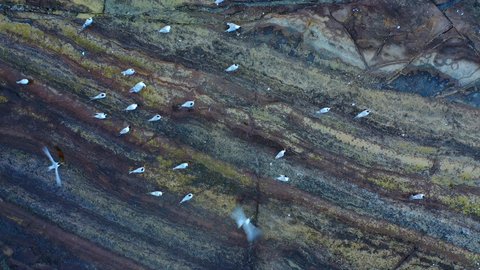 Tourist attractions in the Kingdom of Saudi Arabia, aerial drone photography of Jabal Kadmbel Island in Asir, calm sea waves on the Red Sea coast, mountain peaks and heights during the day
