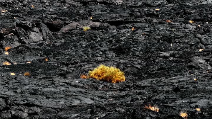 A dormant volcanic field in Medina, the crater of the White Mountain volcano in the Khaybar lava field at sunset, a destination for tourists and earth scientists, natural places in the Kingdom of Saudi Arabia.