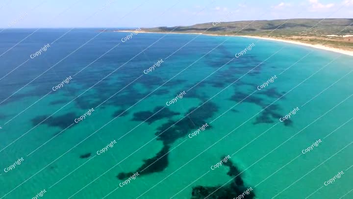 Seaweed and Coral Reef on a Clear Tropical Shallow Sea Floor With White Sand