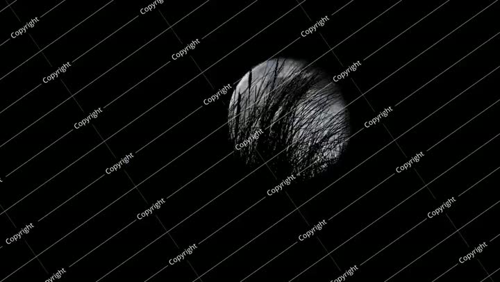 صورة ظلية للمنارة والعشب في المناظر الطبيعية