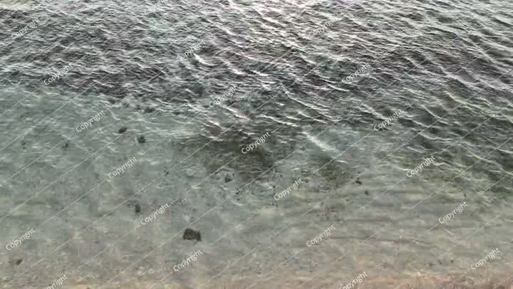 منظر علوي - طائرة بدون طيار تلتقط صورًا جوية فوق شاطئ البحر. أمواج بحر خلابة. شاطئ رملي.