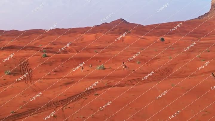 طائرة بدون طيار فوق كثبان رملية في الصحراء ترعى فيها الإبل. صيف مشمس