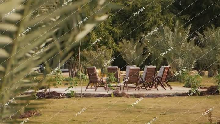 Outdoor Fire Pit Lounge in a Palm Oasis. Video. KSA.