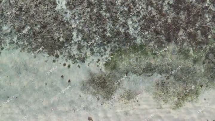 منظر علوي - طائرة بدون طيار تلتقط صورًا جوية فوق شاطئ البحر. أمواج بحر خلابة. شاطئ رملي.