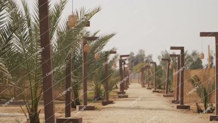 Outdoor Lighting in Saudi Arabia. Video.